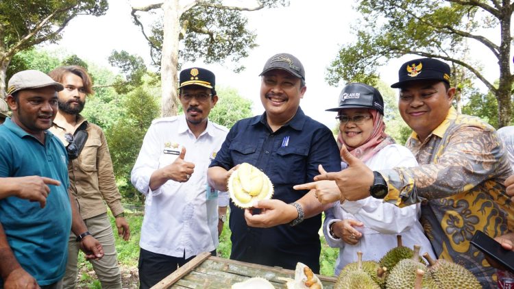 Aceh Surganya Durian Unggul Lokal