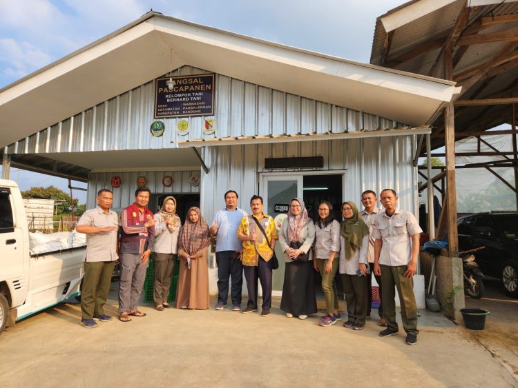 Wujudkan UMKM Hortikultura Naik Kelas, Kementan Buat Aplikasi PROHORTI
