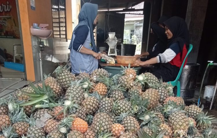 Optimisme Kementerian Pertanian dalam Mendorong Peningkatan UMKM Hortikultura Nanas di Kota Subang