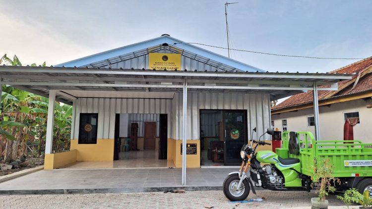Prospek Mangga Cengkir di Subang, Jawa Barat