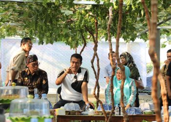 Hari Minggu, Mentan Amran Turun Tinjau Petani Anggur di Palu