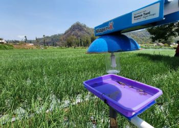 Light Trap, Strategi Hadapi Serangan OPT dan Virus Akibat El Nino