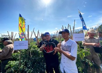 Kementan Gerak Cepat Atasi Lonjakan Harga Cabai Akibat Perubahan Iklim