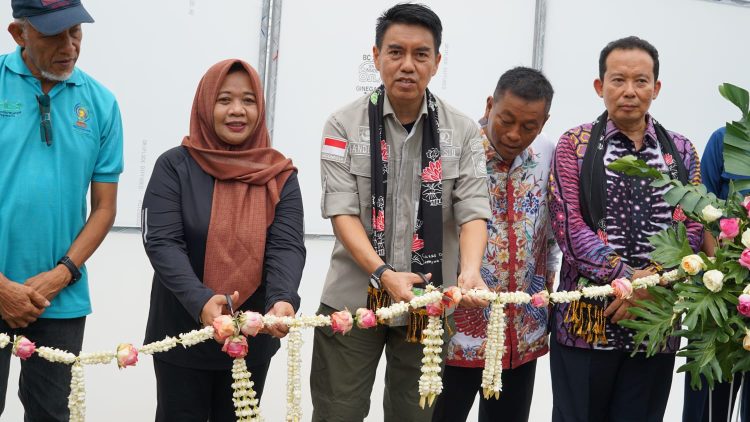 Peluncuran Nurseri Soilblock Hortikultura: Cara Kementan Tingkatkan Produksi Cabai Bawang