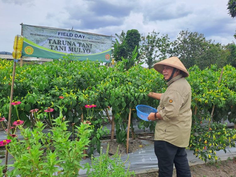 Direktorat Jenderal Hortikultura Dorong Pertanian Ramah Lingkungan Melalui Pengendalian Hama Terpadu