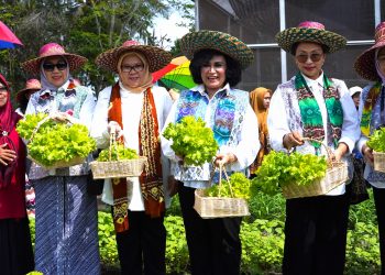 Dorong Ketahanan Pangan Berbasis Keluarga, Bidang V OASE KIM Panen Sayur Organik dan Bimtek Urban Farming