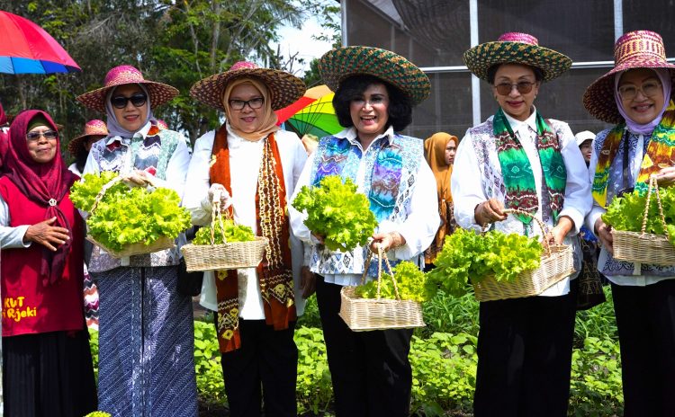 Dorong Ketahanan Pangan Berbasis Keluarga, Bidang V OASE KIM Panen Sayur Organik dan Bimtek Urban Farming
