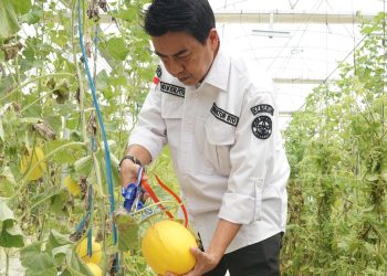 Resmikan Bantuan Smart Greenhouse di AEW Markaz Komobid, Kementan: Inovasi dengan Perencanaan Matang