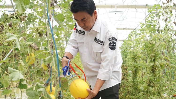 Resmikan Bantuan Smart Greenhouse di AEW Markaz Komobid, Kementan: Inovasi dengan Perencanaan Matang