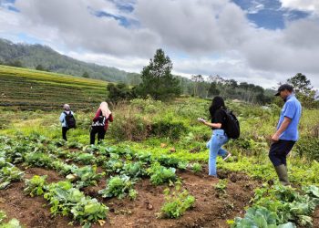 Kementan Bangun Pertanian Berkelanjutan di Gowa Lewat Pelatihan dan Piloting MIS-KoltiTrace HDDAP