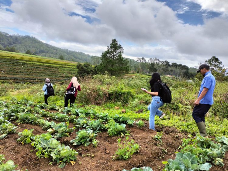 Kementan Bangun Pertanian Berkelanjutan di Gowa Lewat Pelatihan dan Piloting MIS-KoltiTrace HDDAP