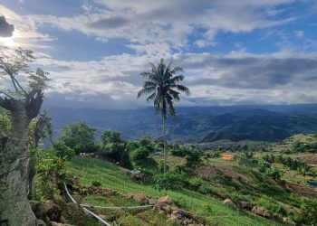 Sukseskan Proyek HDDAP Enrekang, Tim Pusat dan Daerah Lakukan Sosialisasi kepada Petani