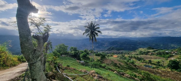 Sukseskan Proyek HDDAP Enrekang, Tim Pusat dan Daerah Lakukan Sosialisasi kepada Petani