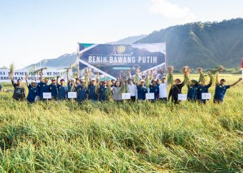Panen Raya Benih, Langkah Konkret Menuju Swasembada Bawang Putih Nasional