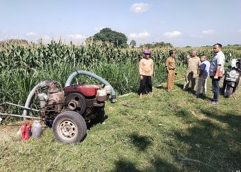 Kementan Berikan Program Sumur Dangkal untuk Selamatkan Produksi Cabai di Jawa Timur