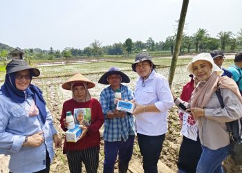 Berkat Pompanisasi, Bengkulu Selatan Bisa Tetap Tanam Padi saat Kemarau