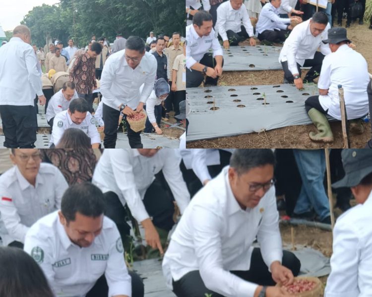 Kunjungi Deli Serdang, Wamentan Sudaryono Genjot Produksi Pangan dan Hortikultura