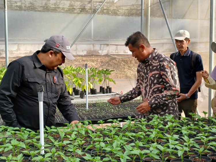 Kementan Dorong Kelembagaan Ekonomi Petani untuk Hadapi Perubahan Iklim
