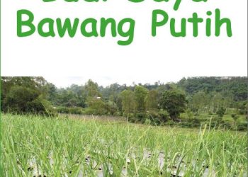 Kiat Sukses Budidaya Bawang Putih