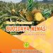 Buku Pedoman Budidaya Nenas