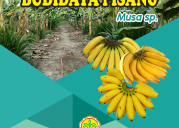 Buku Pedoman Budidaya Pisang
