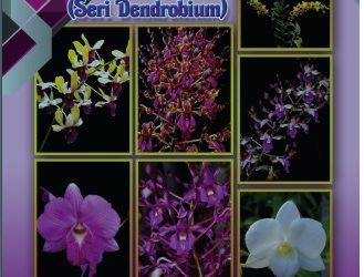Standar operasional prosedur anggrek (seri dendrobium)