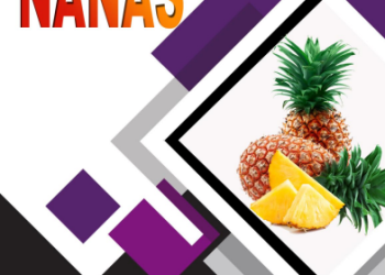 JUKNIS PASKA PANEN NENAS