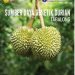 Sumber daya genetik durian Tabalong