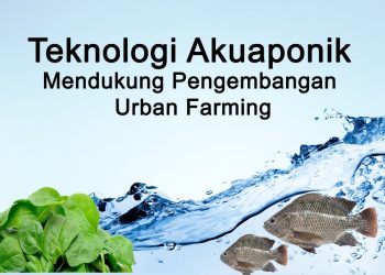 Teknologi Akuaponik Mendukung Pengembangan Urban Farming