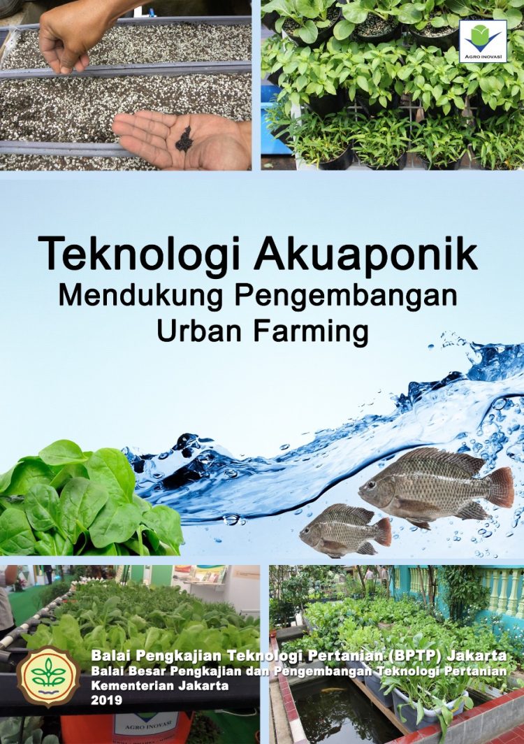 Teknologi Akuaponik Mendukung Pengembangan Urban Farming