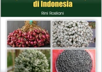 Benih Biji Bawang Merah (True Seed of Shallot) di Indonesia