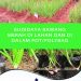 Petunjuk Teknis Budidaya Bawang Merah di Lahan dan di dalam Pot/Polybag