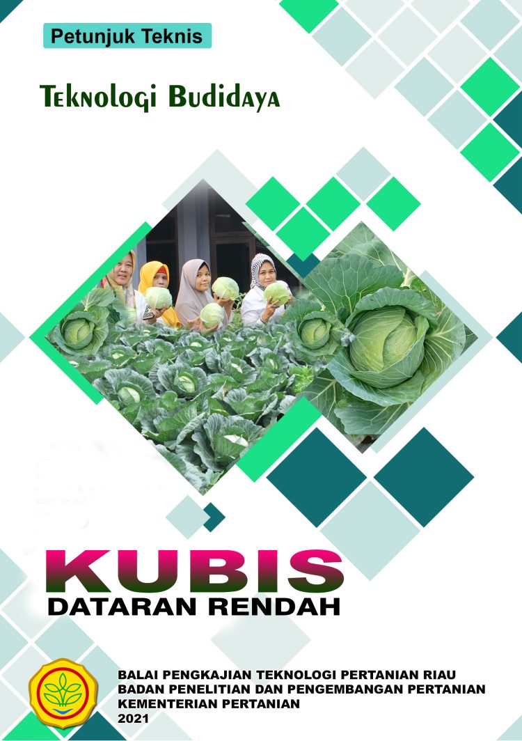 TEKNOLOGI BUDIDAYA KUBIS DATARAN RENDAH