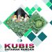 TEKNOLOGI BUDIDAYA KUBIS DATARAN RENDAH