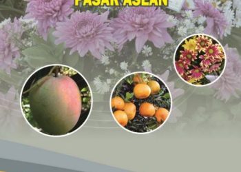 Analisis Outcome INOVASI HORTIKULTURA MENGHADAPI PERSAINGAN PASAR