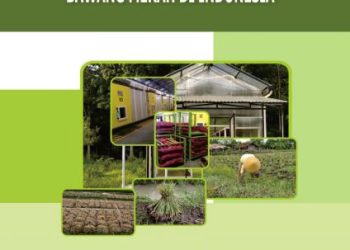 Teknologi Penanganan Pascapanen Bawang Merah di Indonesia