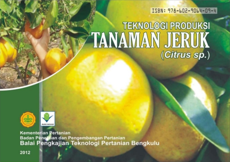 Teknologi Produksi Tanaman Jeruk (Citrus sp.)