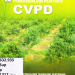 PANDUAN PENGENDALIAN PENYAKIT CVPD