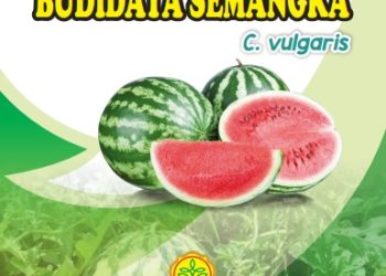 Buku Pedoman Budidaya Semangka