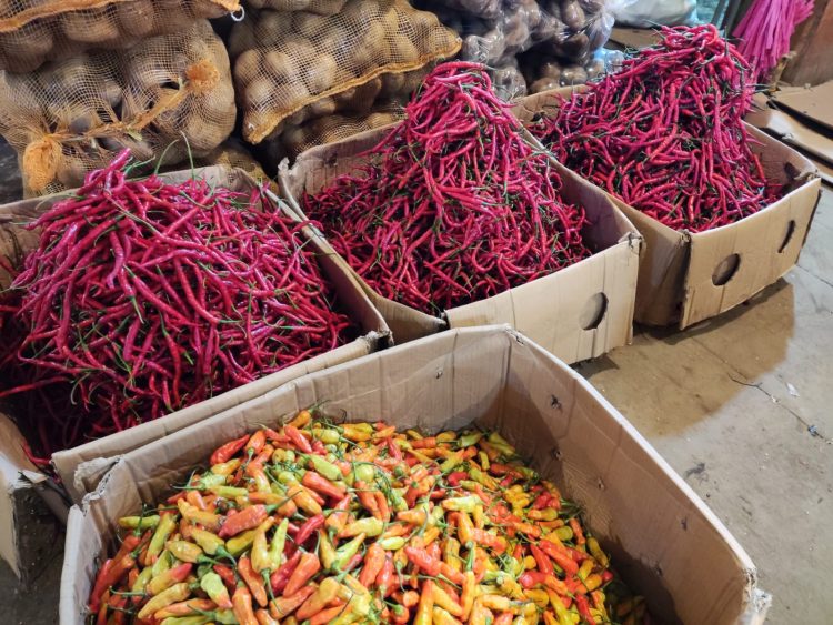 Kementan Pastikan Pasokan Cabai di NTB Kembali Normal