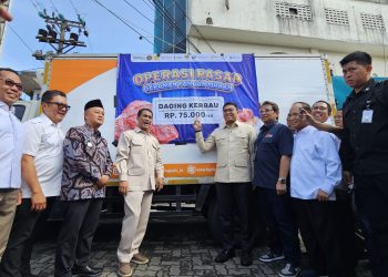 Kompak! Mentan Amran dan Wamentan Sudaryono Pantau Operasi Pasar Pangan Murah di Magelang