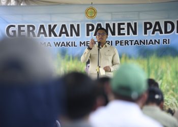 Wamentan Sudaryono: Bantul Konsisten Produksi Padi Terbaik Nasional
