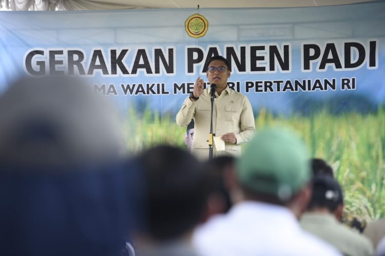 Wamentan Sudaryono: Bantul Konsisten Produksi Padi Terbaik Nasional