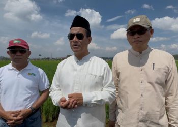 Hari Libur, Mentan Amran Tinjau Inovasi Padi Jajar Legowo: Percepat Tanam, Tingkatkan Produktivitas