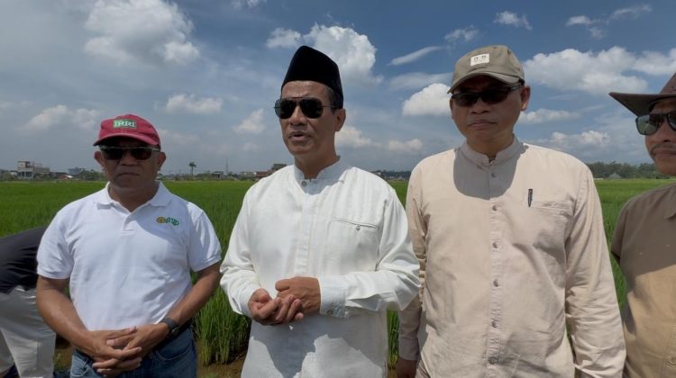 Hari Libur, Mentan Amran Tinjau Inovasi Padi Jajar Legowo: Percepat Tanam, Tingkatkan Produktivitas