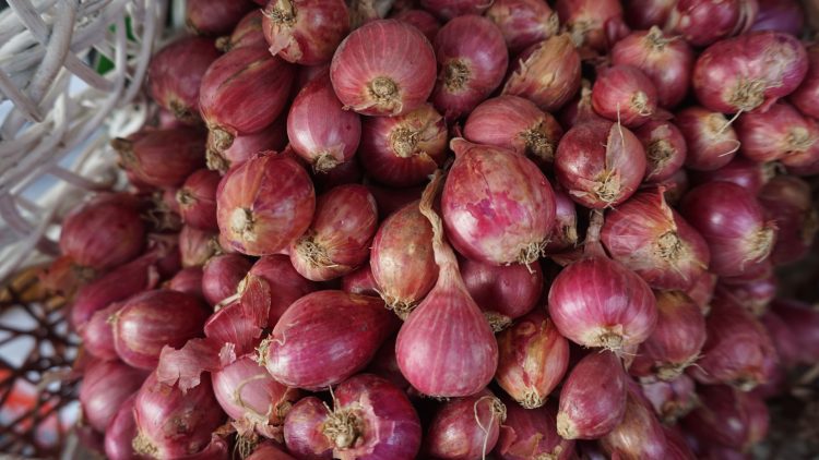 Tak Perlu Cemas, Pasokan Aman, Harga Bawang Merah Berangsur Normal Kembali
