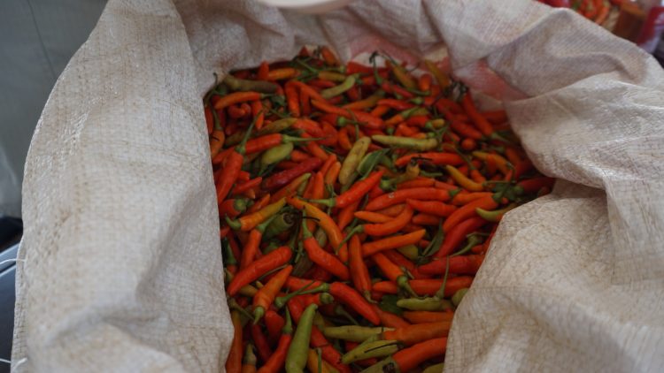 Harga Cabai Stabil Sepanjang Libur Lebaran 2025