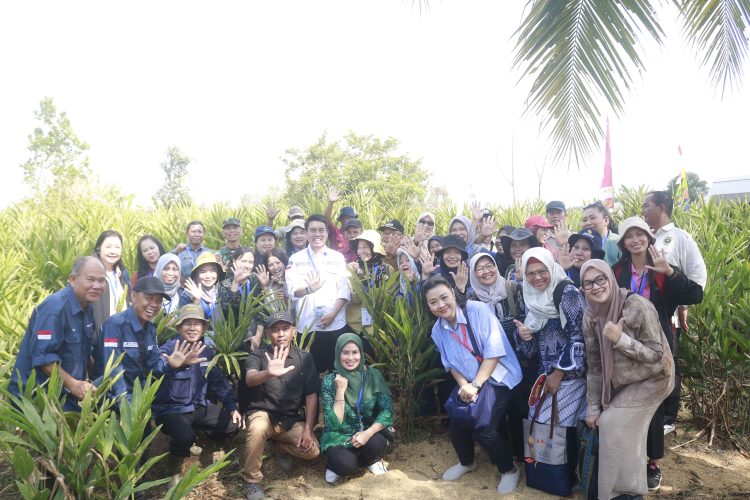 Lewat Forum IMT-GT, Malaysia dan Thailand Belajar Hortikultura di Sumatra Selatan