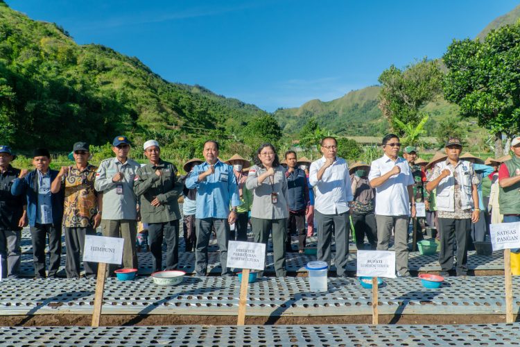 Percepatan Pencapaian Swasembada Bawang Putih, HIMPUNI Lakukan Tanam Perdana Bersama Kementerian Pertanian