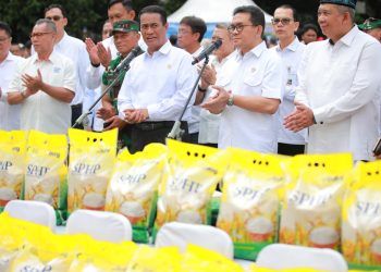 Mendag : Ekspor Hortikultura Naik 49% Semester I 2025, Indonesia Tekan Impor dan Tingkatkan Ekspor